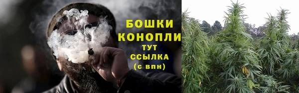 дмт Карпинск