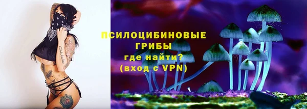 гашик Карталы